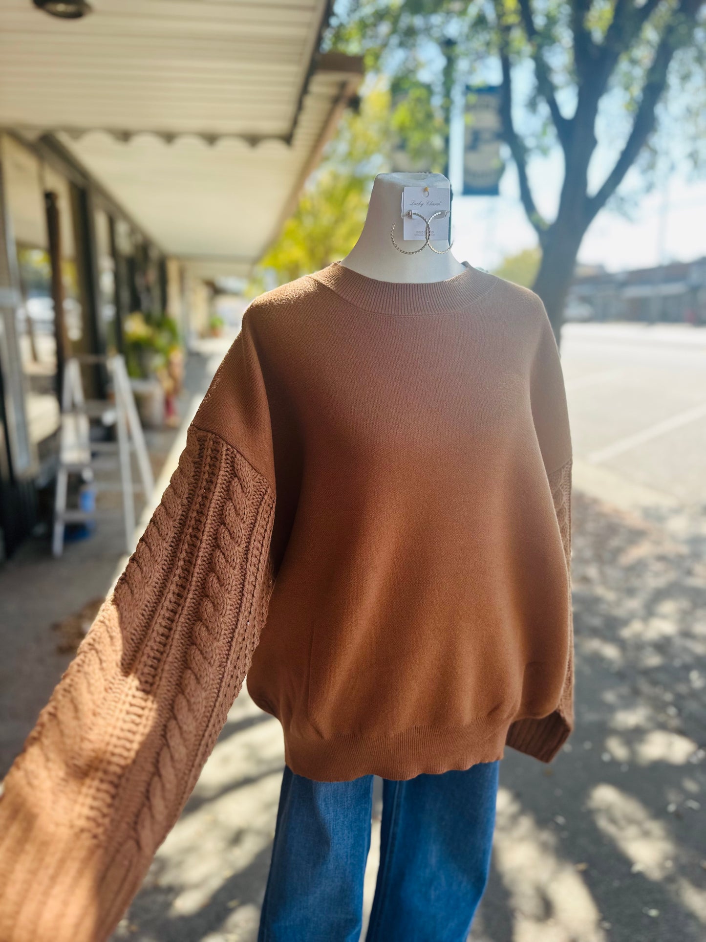 Brown Cable Knit Slv Sweater