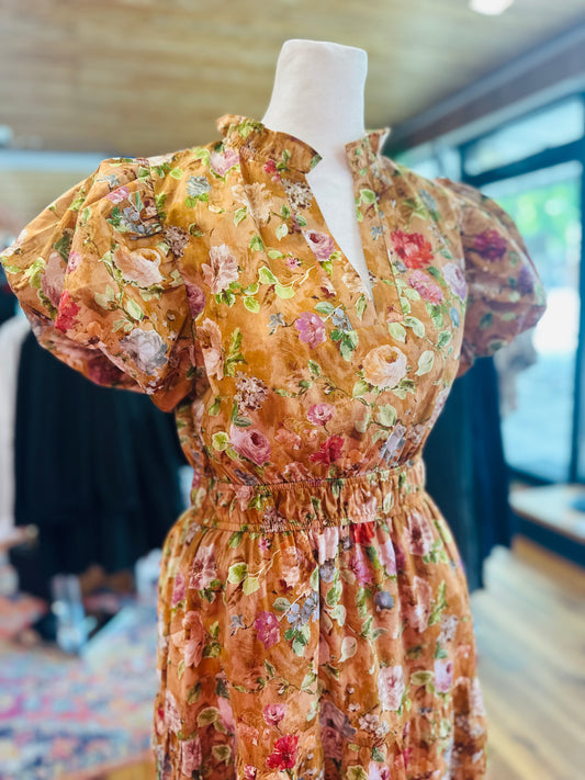 Terra Cotta Floral Cinched Dress