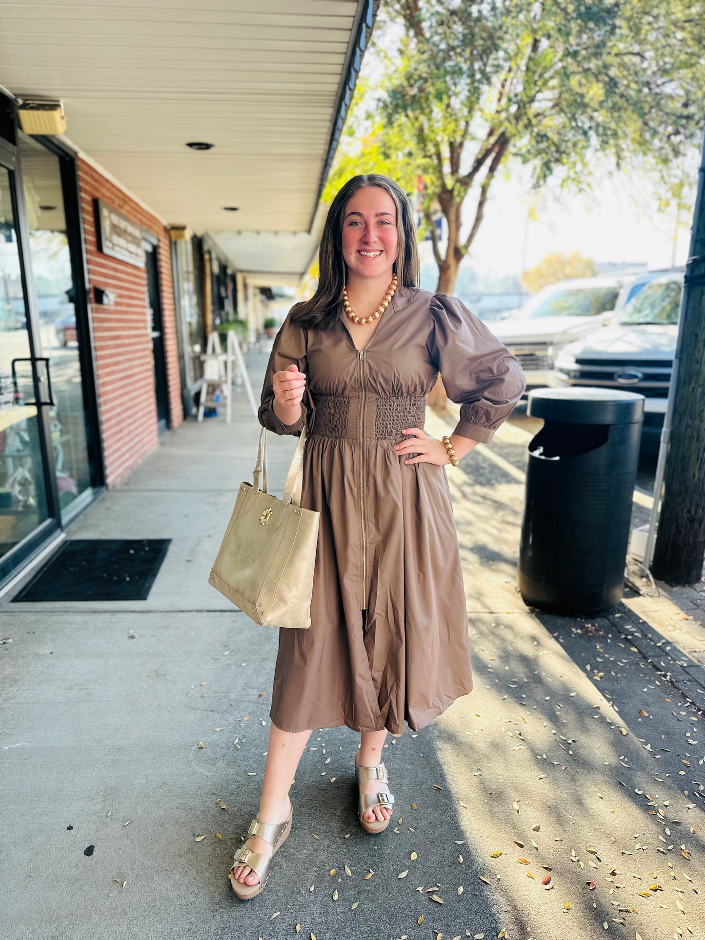 Brown Zip Front Dress