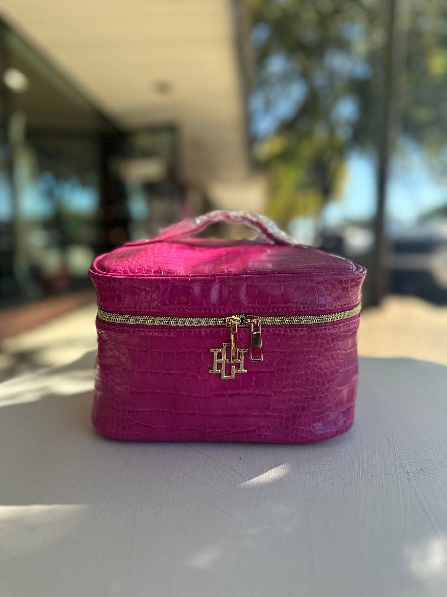 Hampton Train Makeup Bag