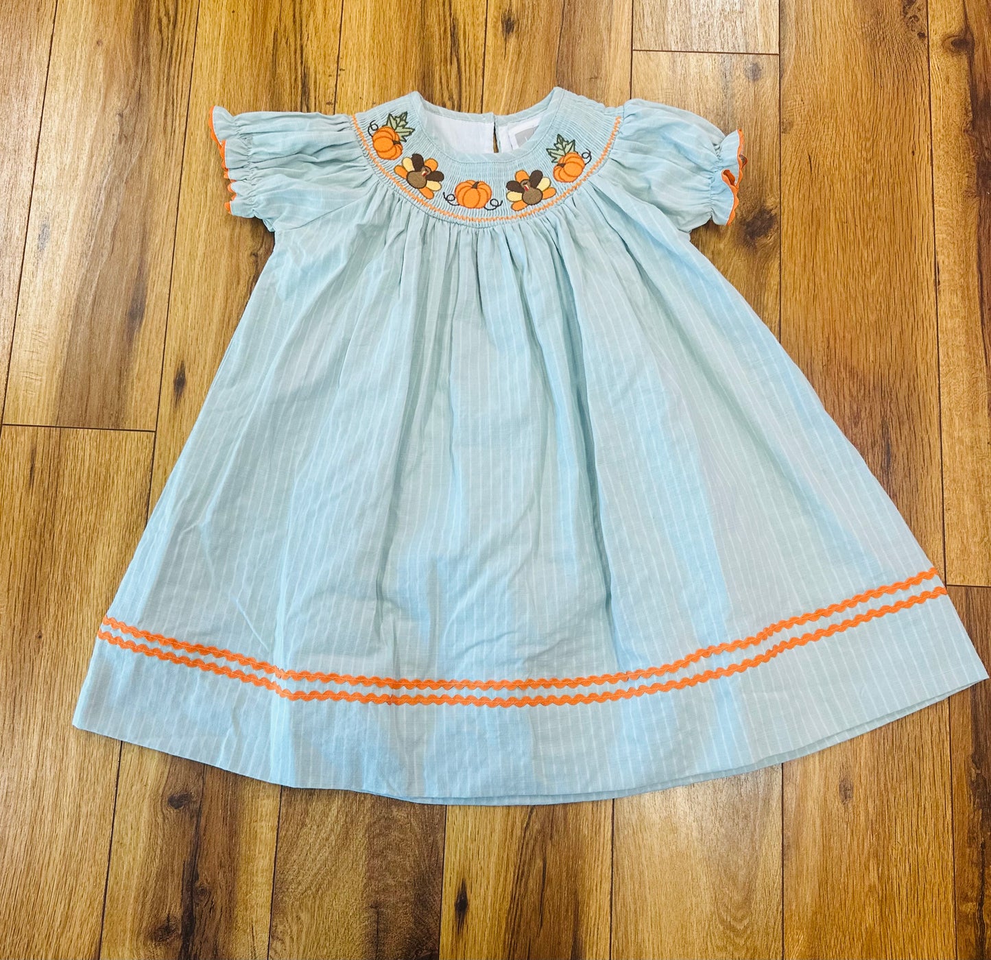 Light Blue Pin Stripe Turkey Dress